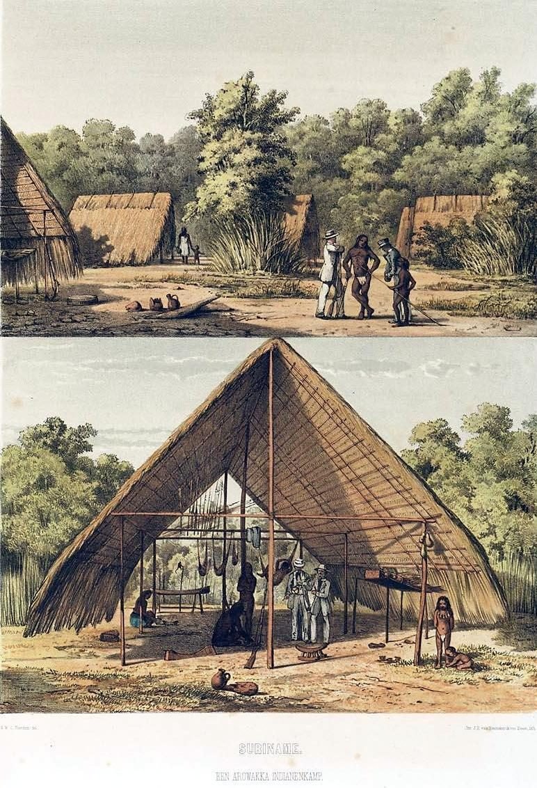 Lithographie coloriée : campement arawak au Suriname, carbets couverts de palmes, hamacs suspendus sous un grand toit à deux pentes.